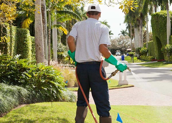 About Orangevale CA Pest Control Pros
